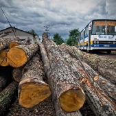Ikarus 280.26 #BV04