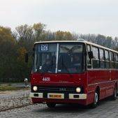 Ikarus 260.04 #BV01