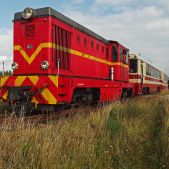 Lxd2-265