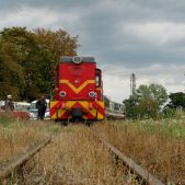 Lxd2-265