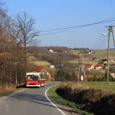 Jelcz M11 #317