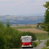Jelcz M11 #317