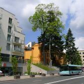 Solaris Urbino 12 #P7 2021