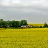 SA134-003+007