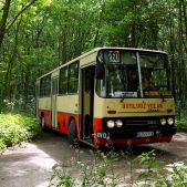 Ikarus 260.04 #BV01