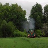 SP42-260