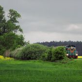 SP42-260