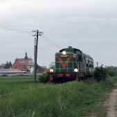 SP42-260