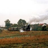 TKt48-191