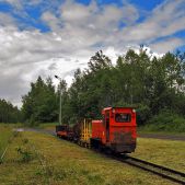 Wls50-6