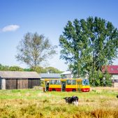 Ikarus 260 #BV08