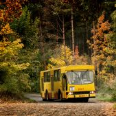 Jelcz M11 #BV05