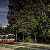 Scania CN113CLL #231