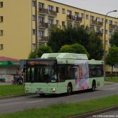 MAN NL243 CNG #433