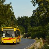 Jelcz M121MB #10
