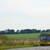 Jelcz M121MB #10