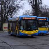 AMZ CS10LF #083
