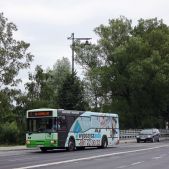 Jelcz M121 #98