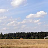 Jelcz L090MS #TJE 75VL