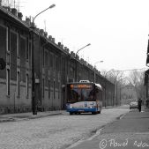 Solaris Urbino 12 #12