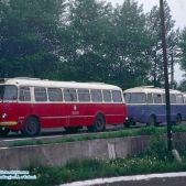 Jelcz 272MEX #1606