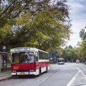 Jelcz M11 #317