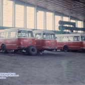 Jelcz 272MEX #274
