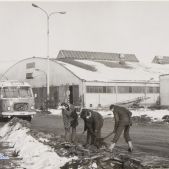 Jelcz 272MEX #22331