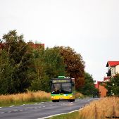 MAN NL263 #1101