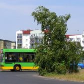 Neoplan N4009 #1910