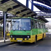 Ikarus 260.04 #1935