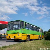 Ikarus 280.26 #1955