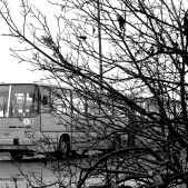 Ikarus 280.70A #1969