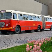 Jelcz 021 #549