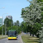 MAN NL263 #1132