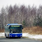 MAN NL263 Lion's City #5074