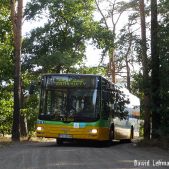 MAN NL263 #1120