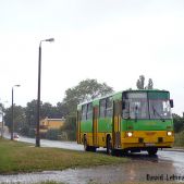 Ikarus 260.04 #1936