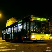 MAN NL263 #1110