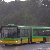 MAN NG313 #1224