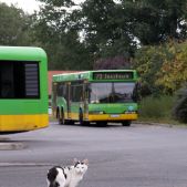 Neoplan N4020 #1712