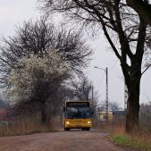 Volvo B10L #019