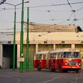 Jelcz 021 #549