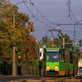 Konstal 105Na #98+97
