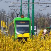 Solaris Tramino S105P #538