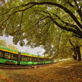 Solaris Tramino S105P #517