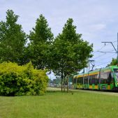 Solaris Tramino S105P #549