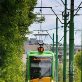 Solaris Tramino S105P #552