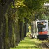 Solaris Tramino S100 #560