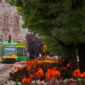 Solaris Tramino S105P #548